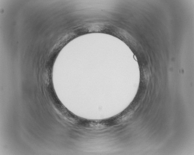 X0000070380311200607072200