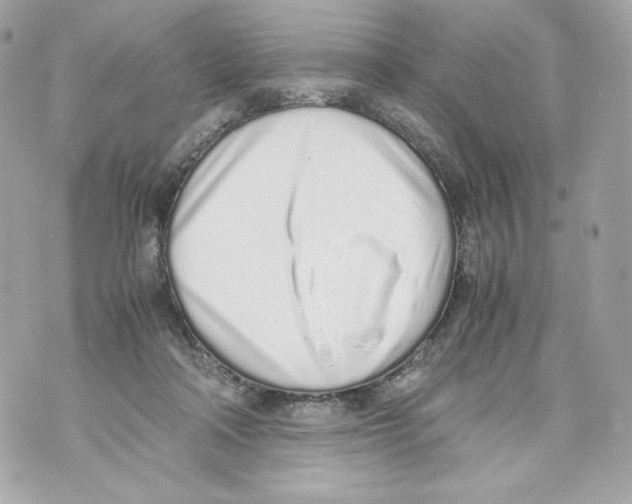 X0000070380314200607072200