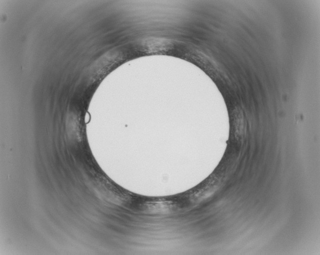 X0000070380316200607072200