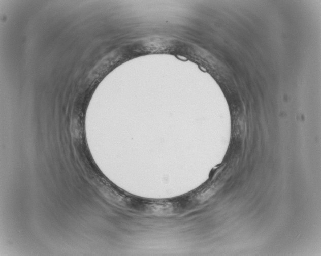 X0000070380317200607072200