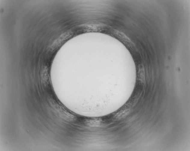 X0000070380318200607072200