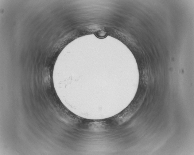 X0000070380320200607072200