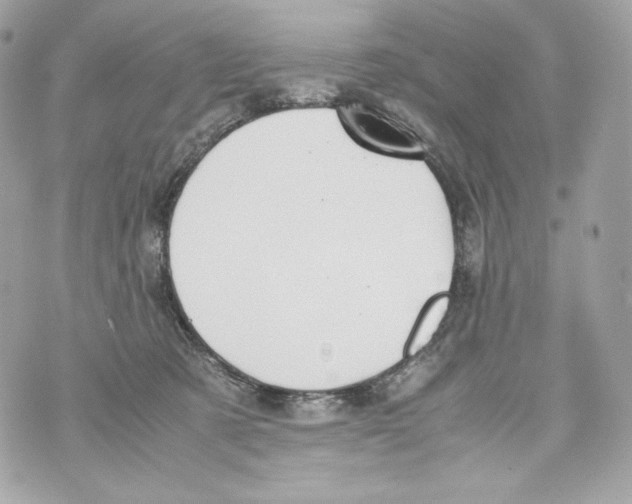 X0000070380321200607072200