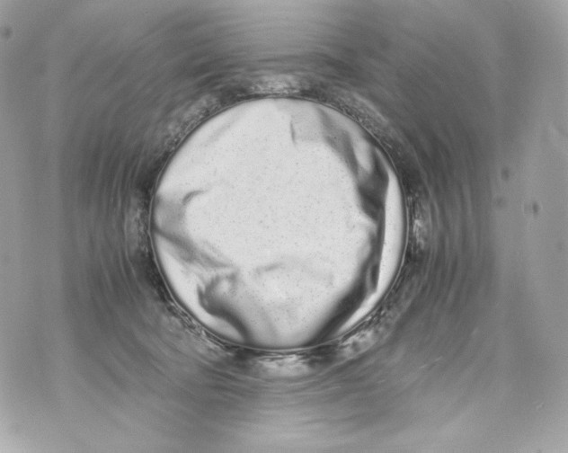 X0000070380322200607072200