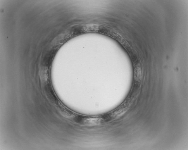 X0000070380323200607072200