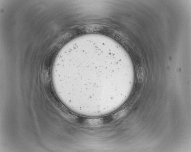 X0000070380327200607072200