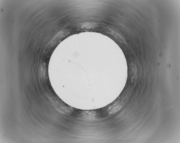 X0000070380328200607072200