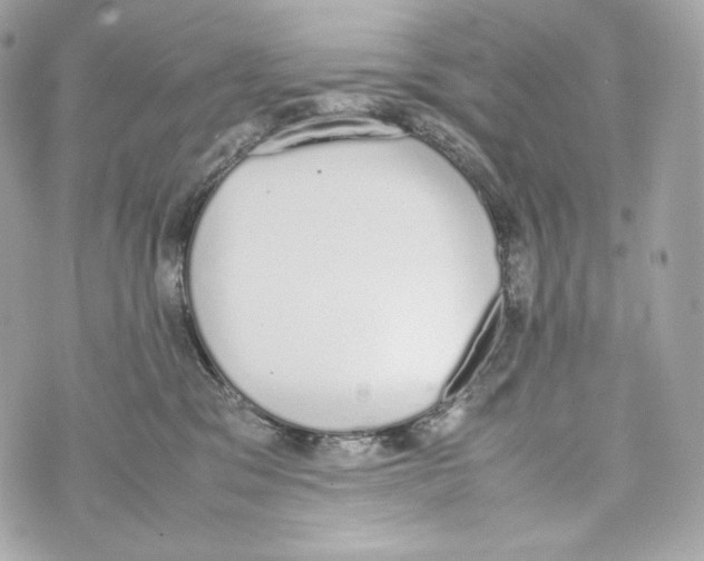 X0000070380329200607072200