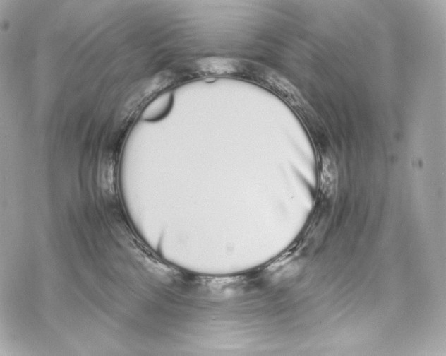 X0000070380330200607072200