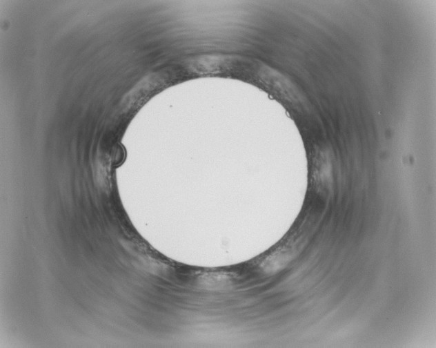 X0000070380332200607072200