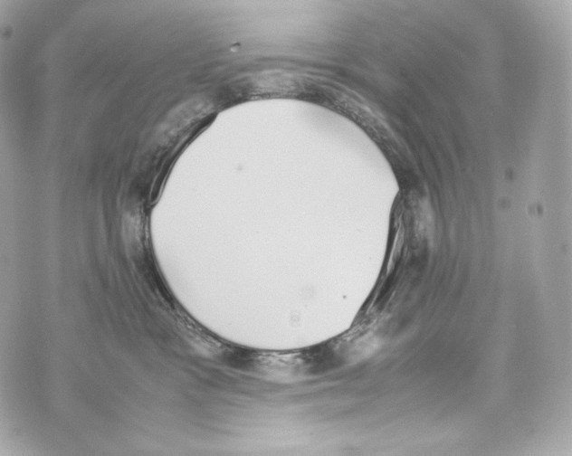 X0000070380333200607072200