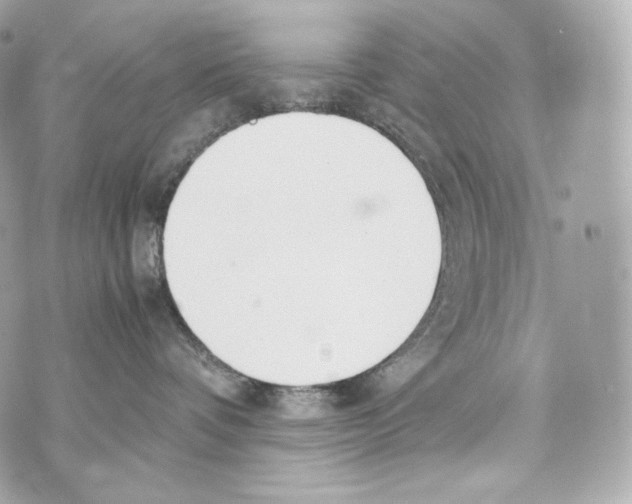 X0000070380336200607072200