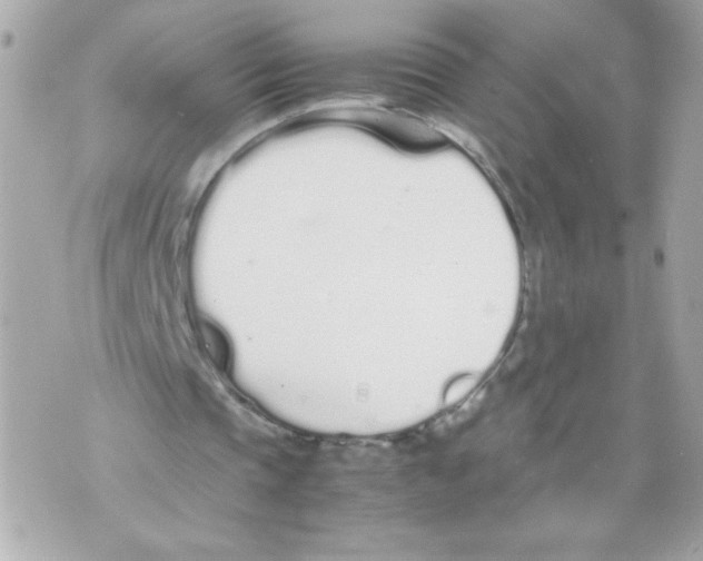 X0000070380337200607072159