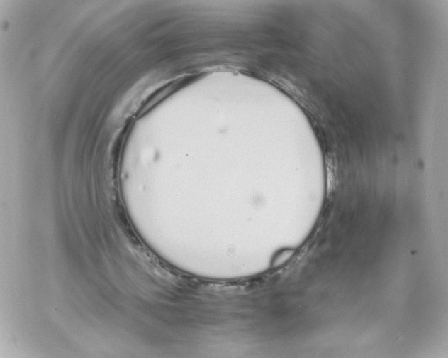 X0000070380339200607072159