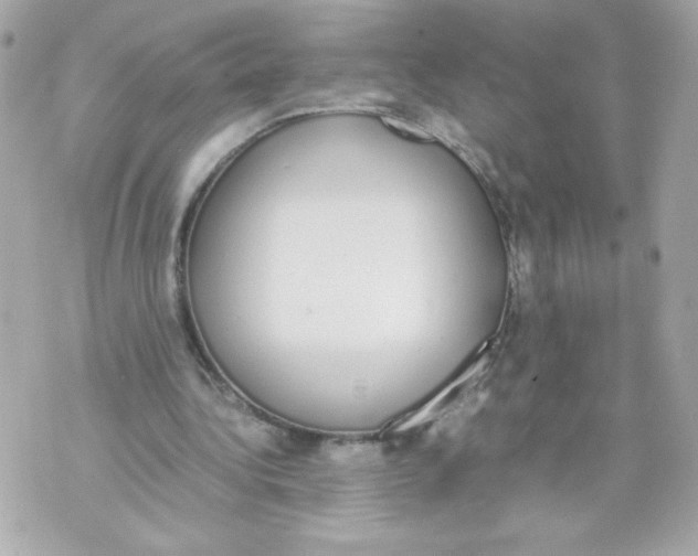 X0000070380340200607072159