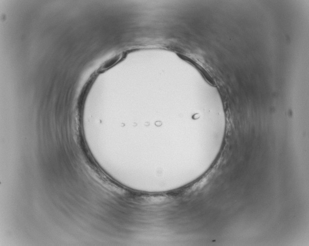 X0000070380342200607072159