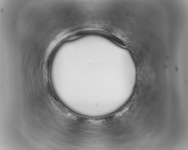 X0000070380343200607072159