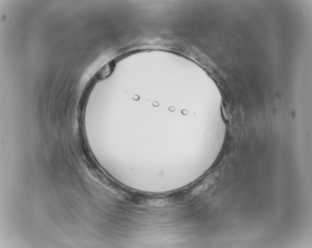 X0000070380344200607072159