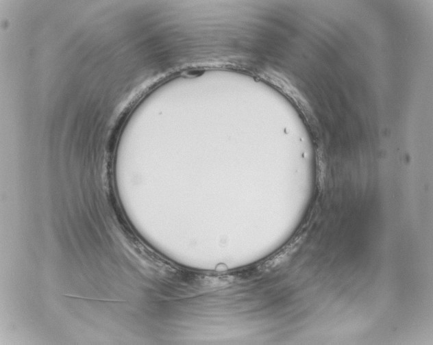 X0000070380346200607072159