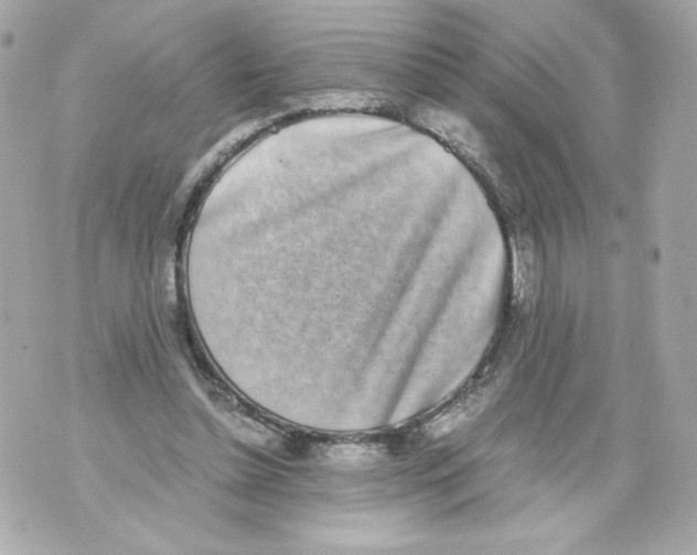 X0000070380348200607072159