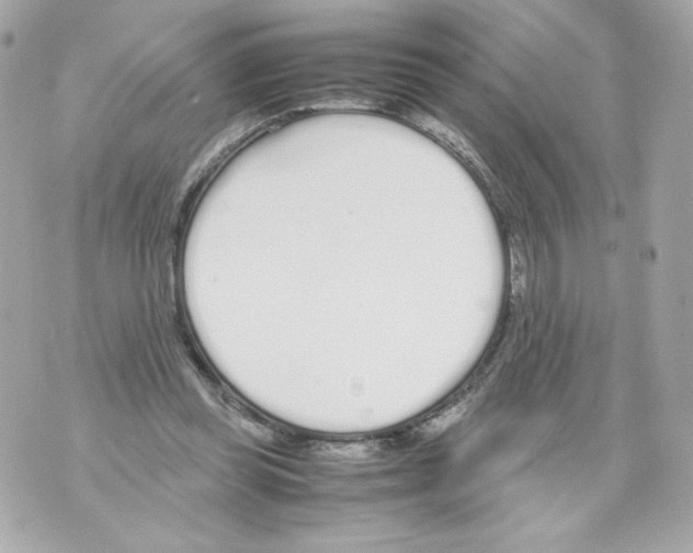 X0000070380349200607072159