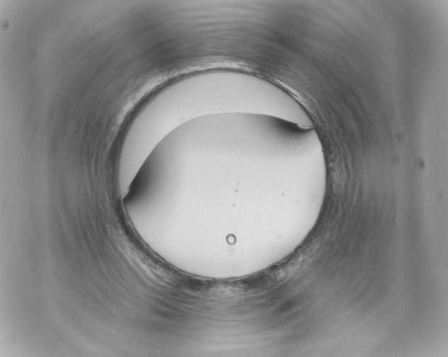 X0000070380350200607072159