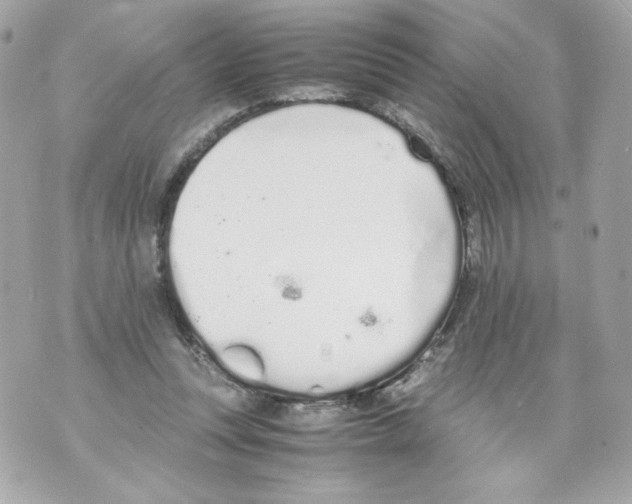 X0000070380351200607072159