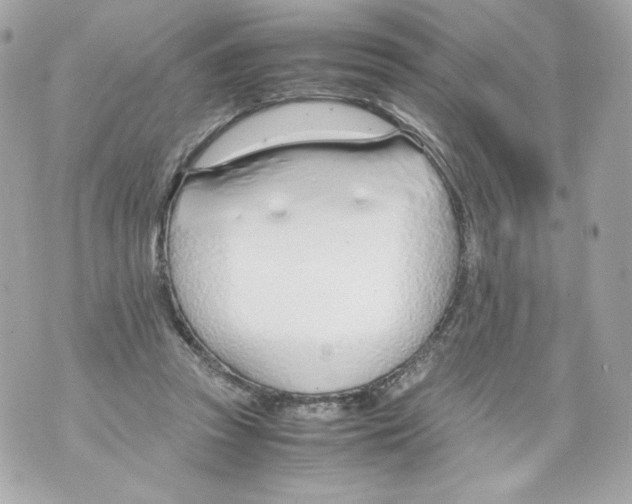 X0000070380353200607072200