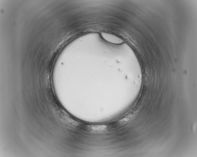 X0000070380355200607072200