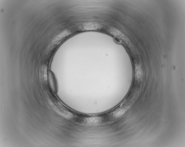 X0000070380356200607072200