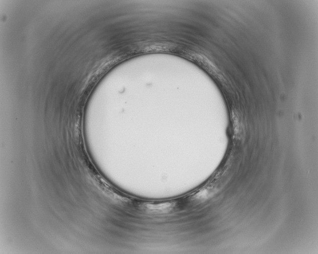 X0000070380357200607072200