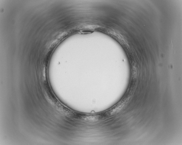 X0000070380358200607072200