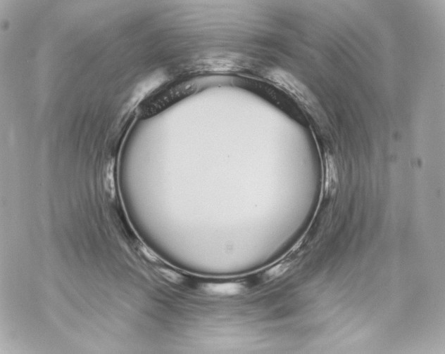 X0000070380360200607072200