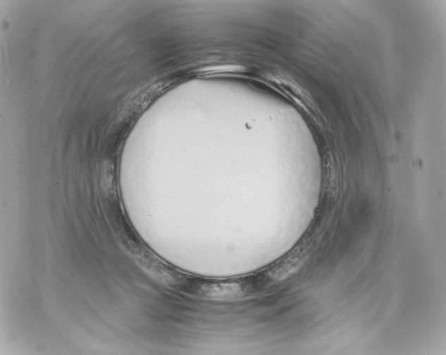 X0000070380361200607072200