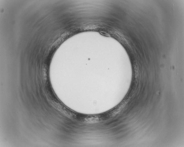 X0000070380362200607072200