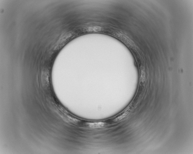 X0000070380363200607072200