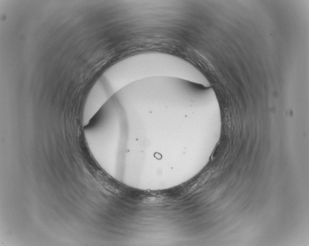 X0000070380364200607072200