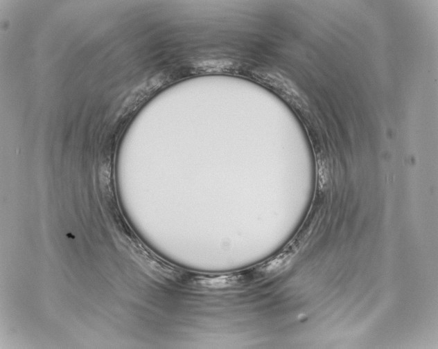 X0000070380365200607072200