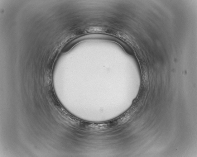 X0000070380367200607072200