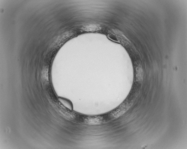 X0000070380368200607072200