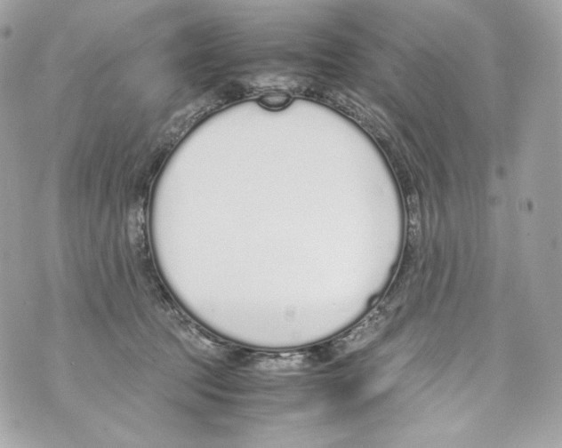 X0000070380369200607072200