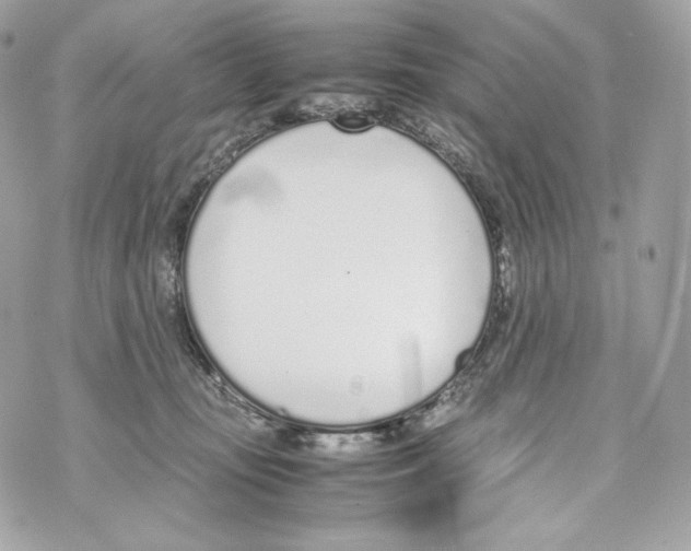 X0000070380371200607072200