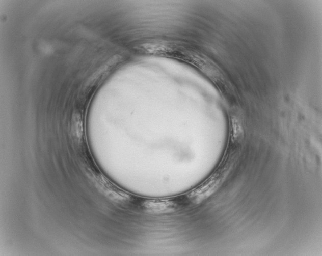 X0000070380372200607072200