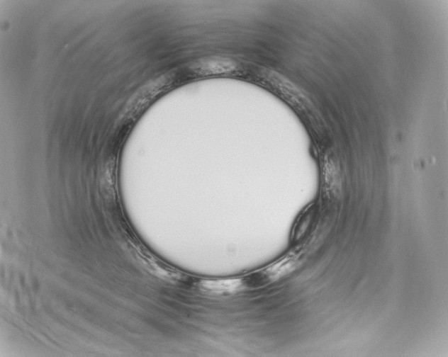 X0000070380373200607072200