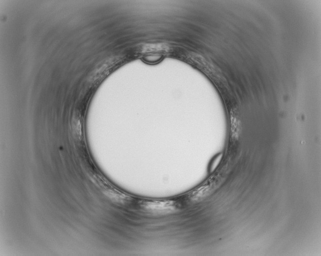 X0000070380375200607072200