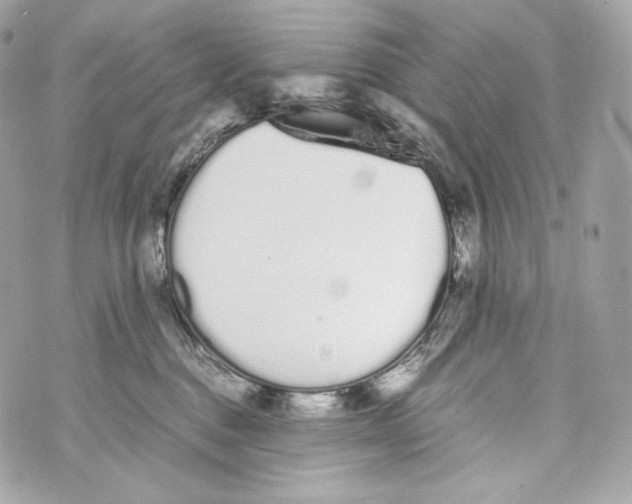 X0000070380376200607072200