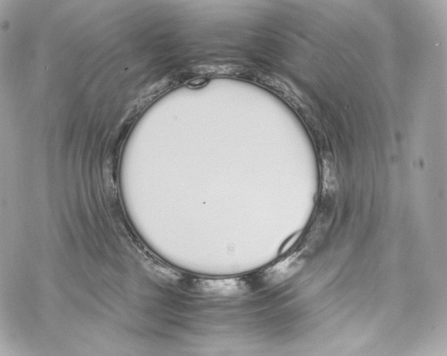 X0000070380377200607072200