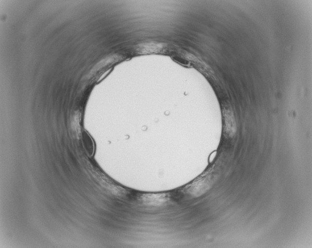 X0000070380378200607072200