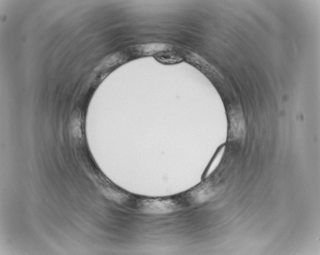 X0000070380379200607072200