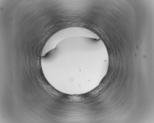 X0000070380380200607072200